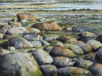 rocks_600.jpg